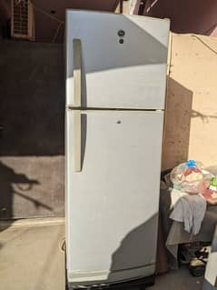 Pel Refrigerator 6400