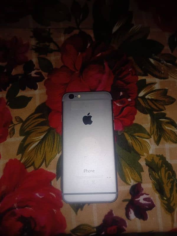 IPhone 6 1