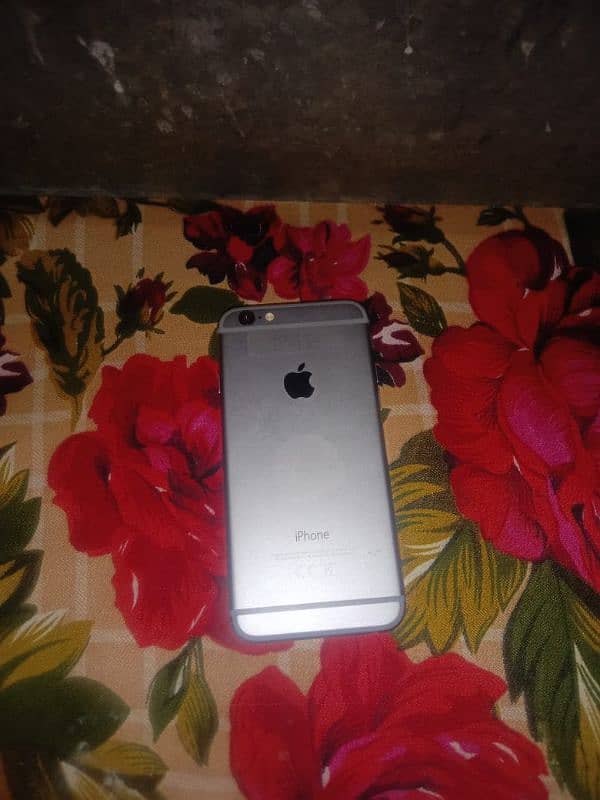 IPhone 6 3