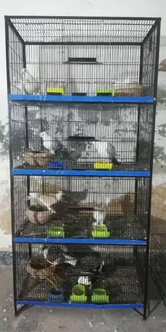 Cage For Sale