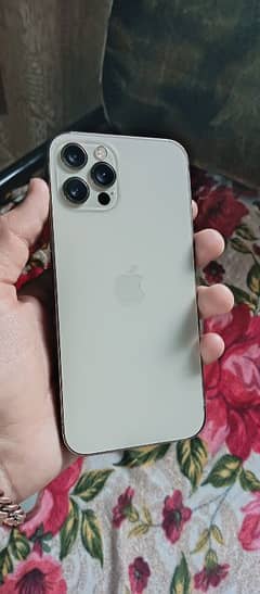 iphone 12 pro factory