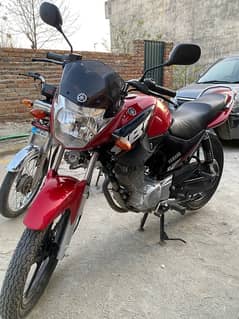 ybr 125