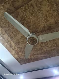 ROYAL FAN AC DC  new condition heavy throw