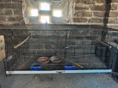 Birds cage for sale (3)