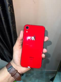 i phone xr 10/10