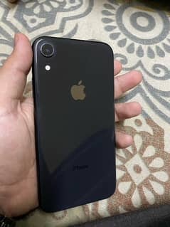 Iphone Xr Pta Approved