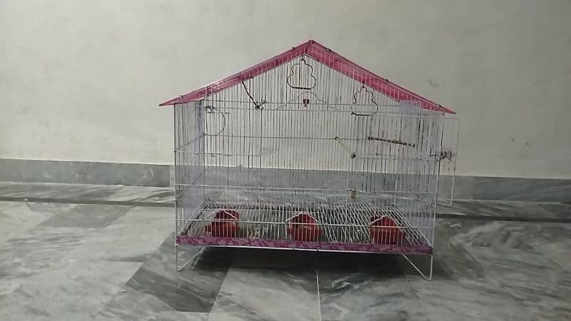 bird cage 2