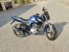 Yamaha  YBR 125  ( Model  2018)  Total Genuine