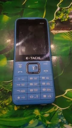 E-Tachi 200