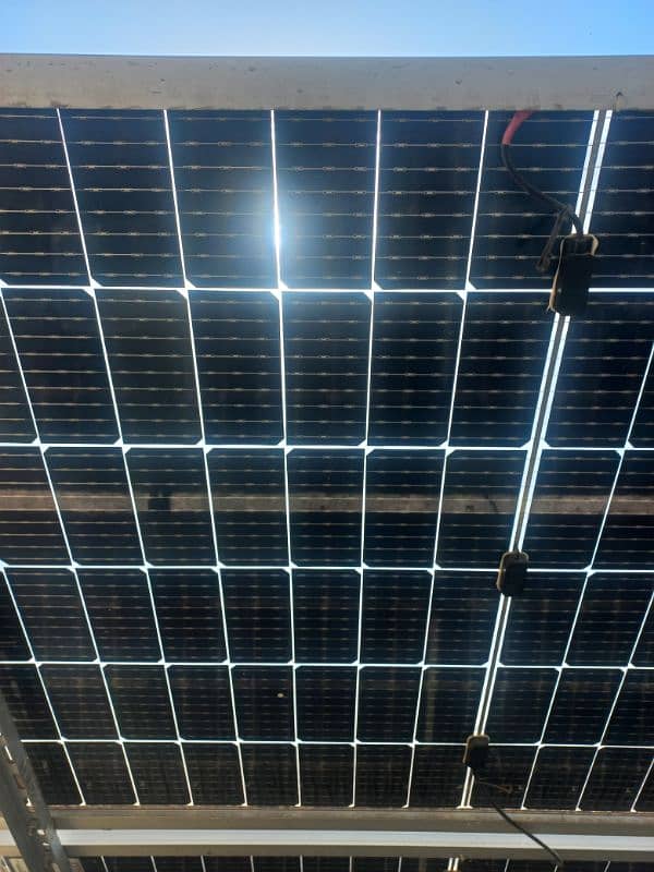 Canadian Bifacial Solar Panels For Sale 3