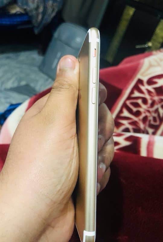 iphone 7 128gb pta approve  golden colour 3