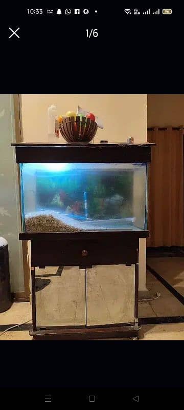 fish aquarium perfect condition medium size 0