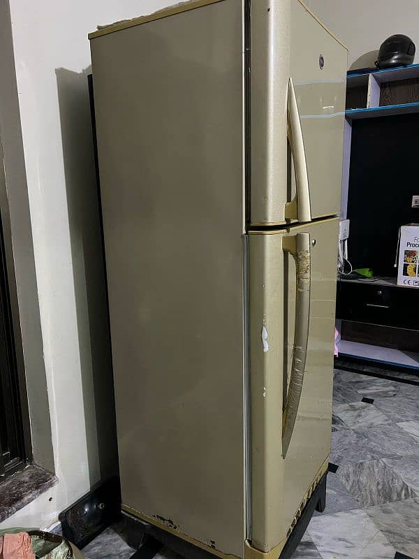 PEL Refrigerator 2