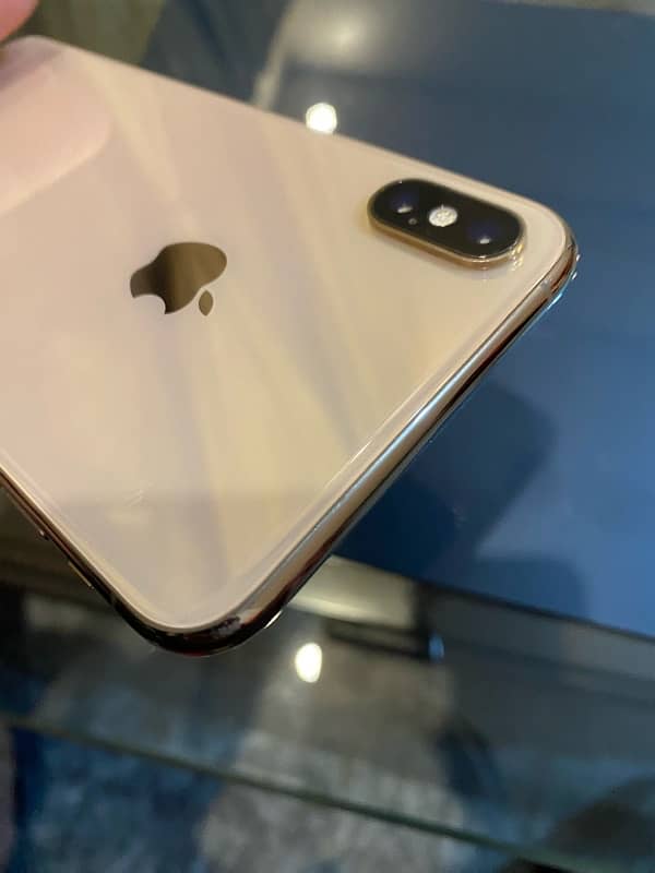 XS MAX 1