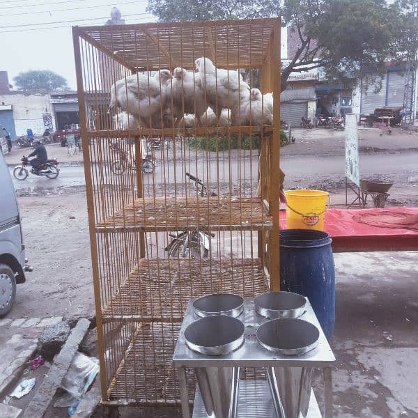 cage & counter  for chicken shop 2