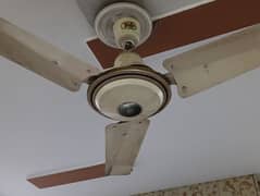 3 Younas Fan For Sale 4500 For Each 48 Inch