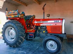 Massey Ferguson 385 2019 ( tractor for sale )