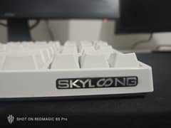 Skyloong Mechanical Keyboard