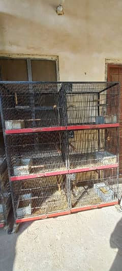 cage pinjra bird cage