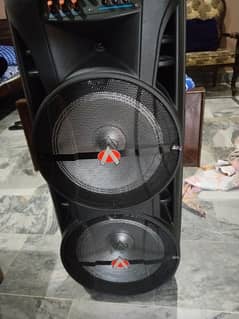 audionic  12 12