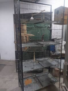 birds cage