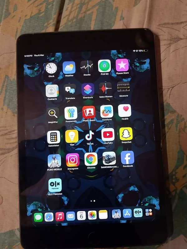 iPad mini 5 1