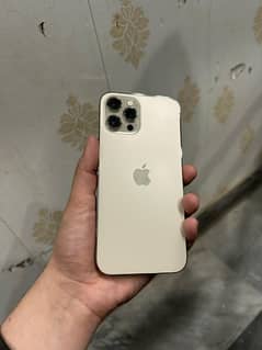 iphone 12 pro max pta approved