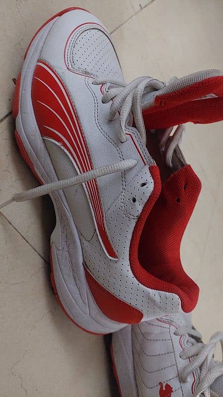 Original PUMA Spicks Shoes 3