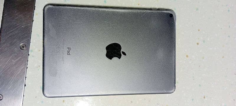 iPad mini 5 3