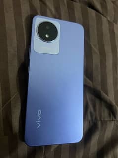 vivo