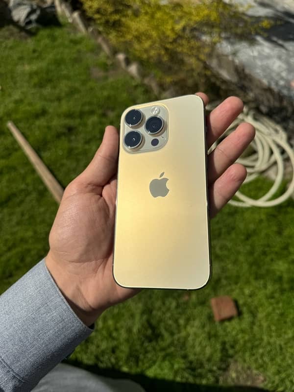 iPhone 14 Pro Non Pta Golden 0