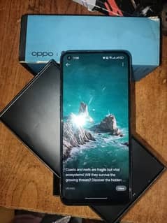 OPPO F19 6/128 *WITH BOX*   **NEITHER OPENED NOR REPAIRED**.   10/9