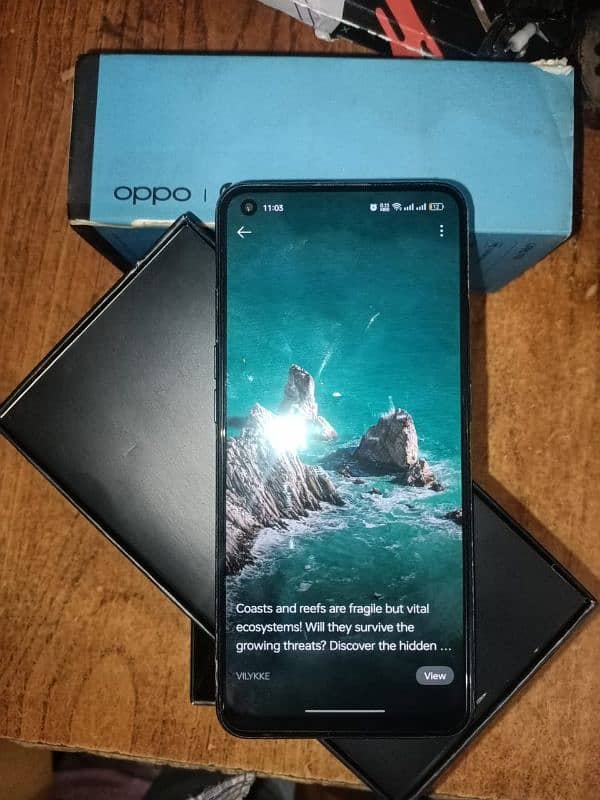 OPPO F19 6/128 *WITH BOX*   **NEITHER OPENED NOR REPAIRED**.   10/9 0