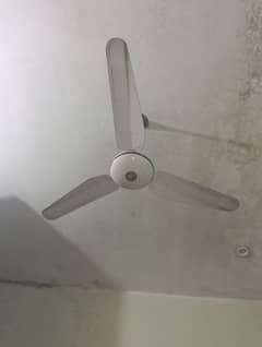 fan for sale