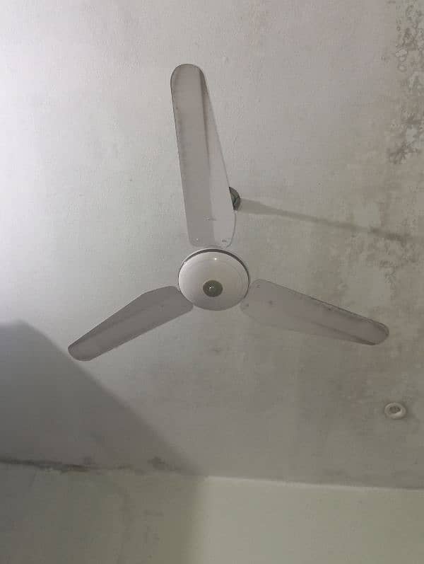 fan for sale 1