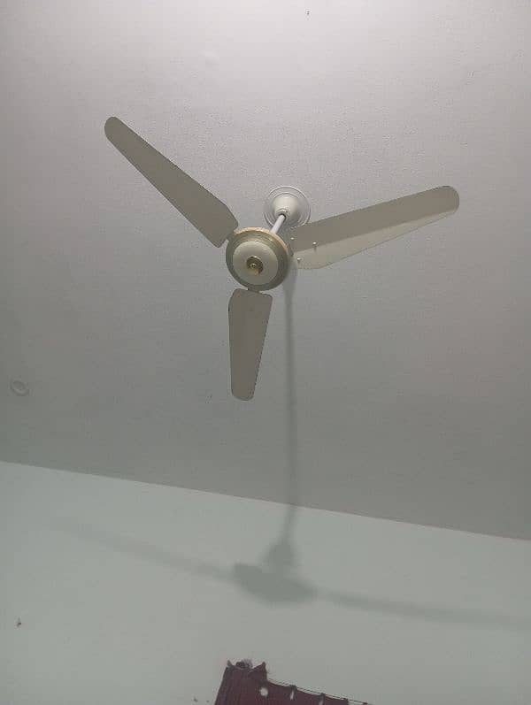 fan for sale 2