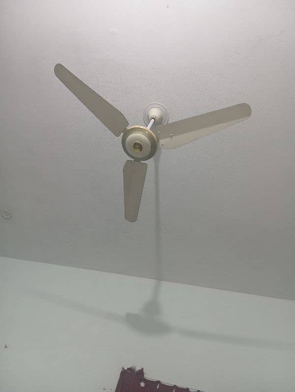 fan for sale 3