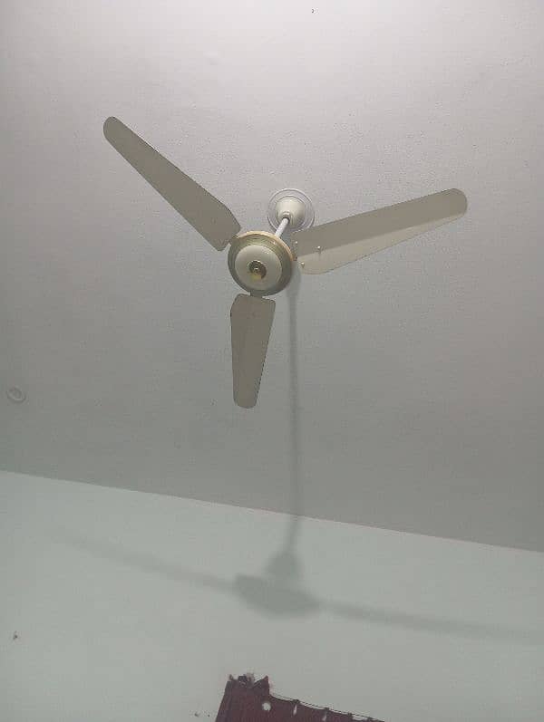 fan for sale 4