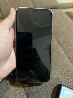 iPhone 12 Pro Max (Pta Approved)