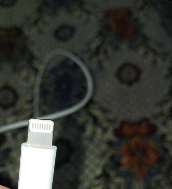 IPHONE ORIGINAL CHARGER 0