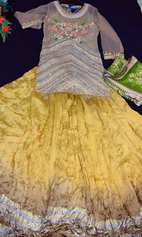 Party Wear/ dresses/ formal dresses /for sale 1