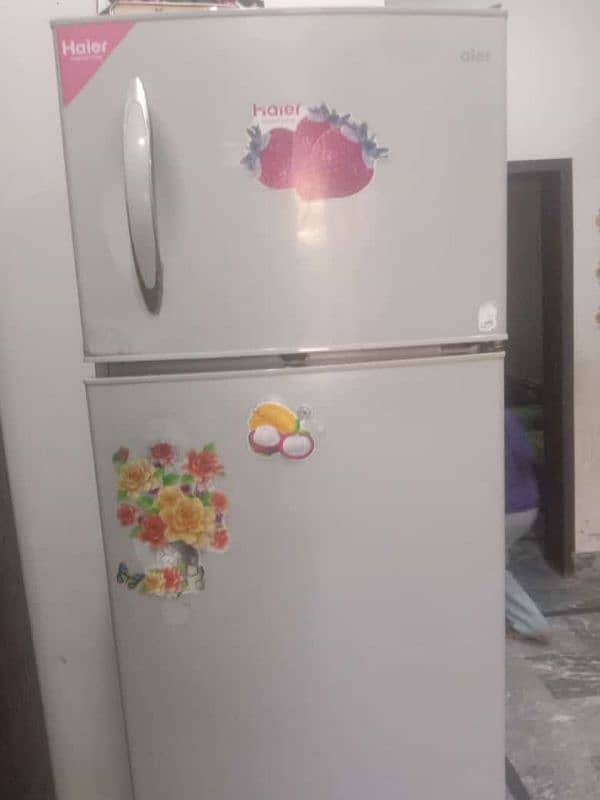 large size hair fridge 03346015180 10