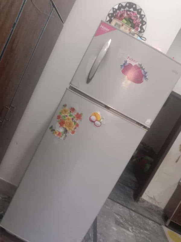 large size hair fridge 03346015180 11