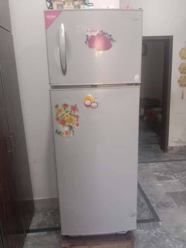 large size hair fridge 03346015180 12