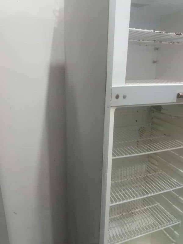 large size hair fridge 03346015180 14