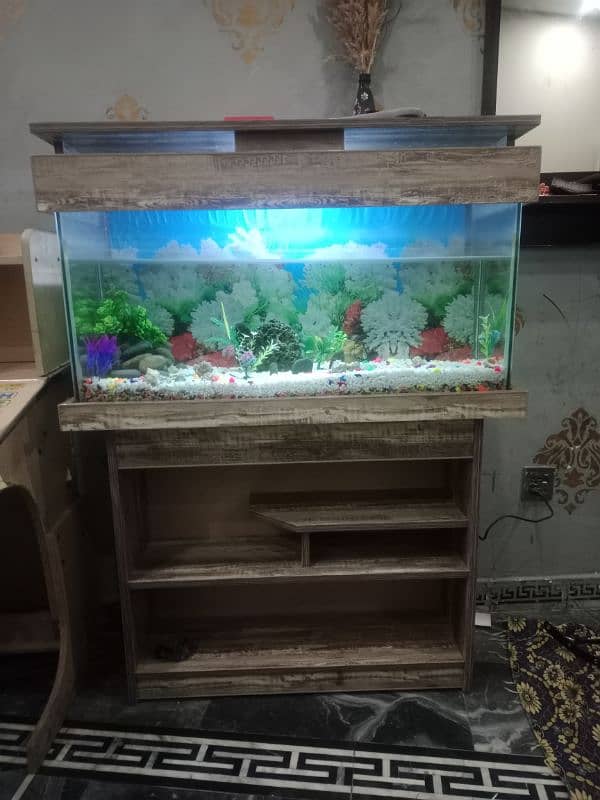 3 Feet Auarium New Condition with all accessories 0