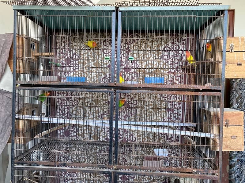 bird cage 4 by 6 by 1.5 feet 1