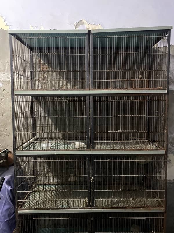 bird cage 4 by 6 by 1.5 feet 2