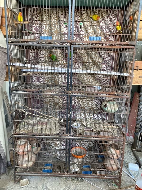 bird cage 4 by 6 by 1.5 feet 3