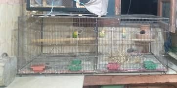 cage for sale 2x2